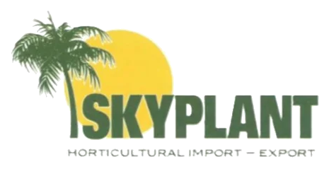 Skyplant